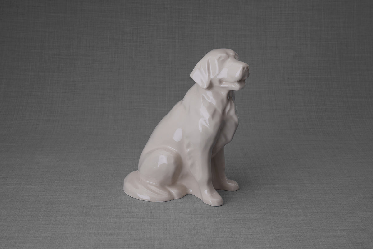 Golden Retriever Urne – Transparent | Keramikurne für Haustiere
