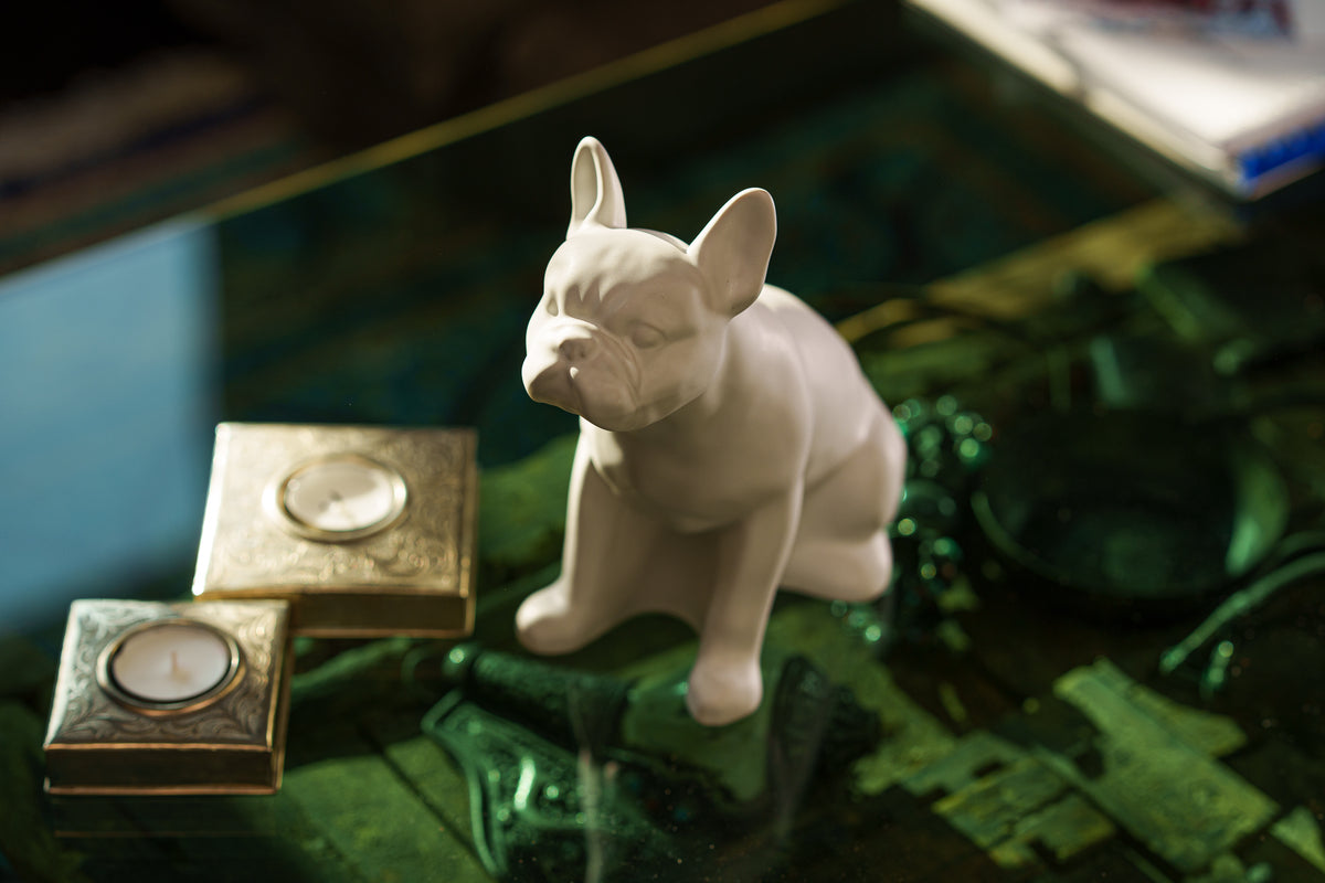 Französische Bulldogge Urne – Transparent | Keramikurne für Haustiere