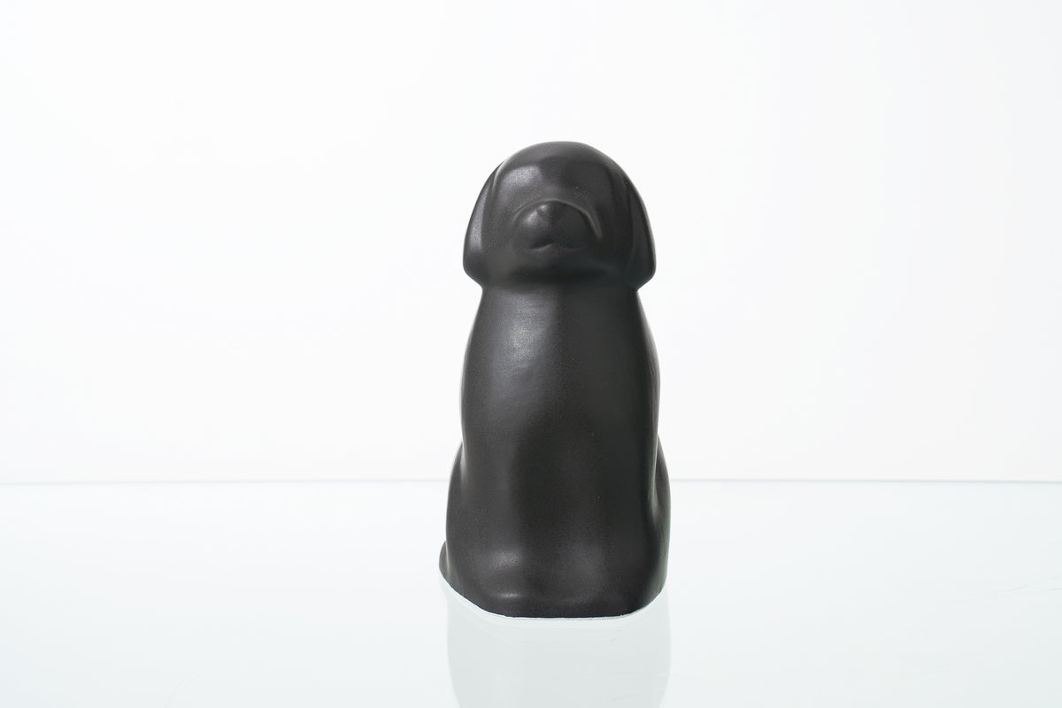 Matte Urne fur Hund