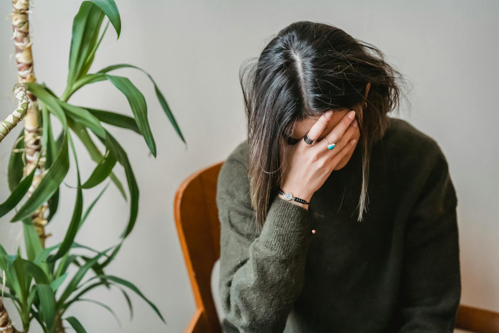 Umfassender Ratgeber: So gehen Sie mit dem Verlust Ihres Haustieres um