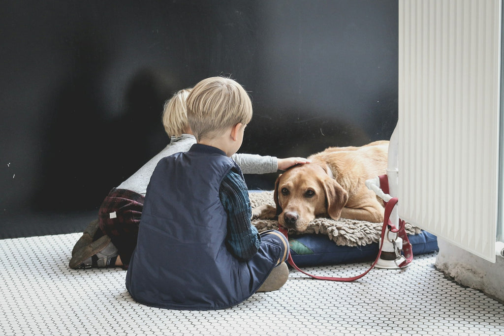 Pelzige Freunde für immer: Ein Leitfaden, der Kindern hilft, mit dem Verlust eines Haustiers umzugehen