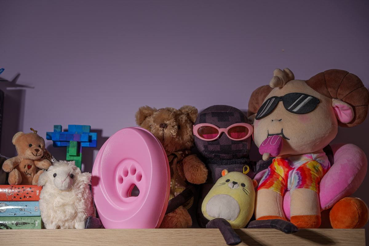 Einascherungsurnefur Asche Erinnerungsurnemit Pfotenabdruck Hundeurne Katzenurne Tiererinnerung Farbe Rosa
