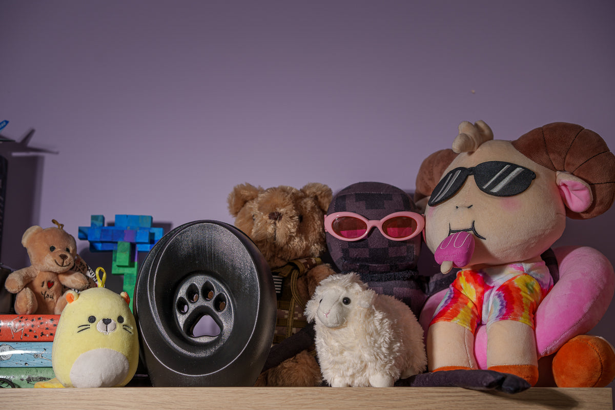 Einascherungsurnefur Asche Erinnerungsurnemit Pfotenabdruck Hundeurne Katzenurne Tiererinnerung Farbe Schwarz 