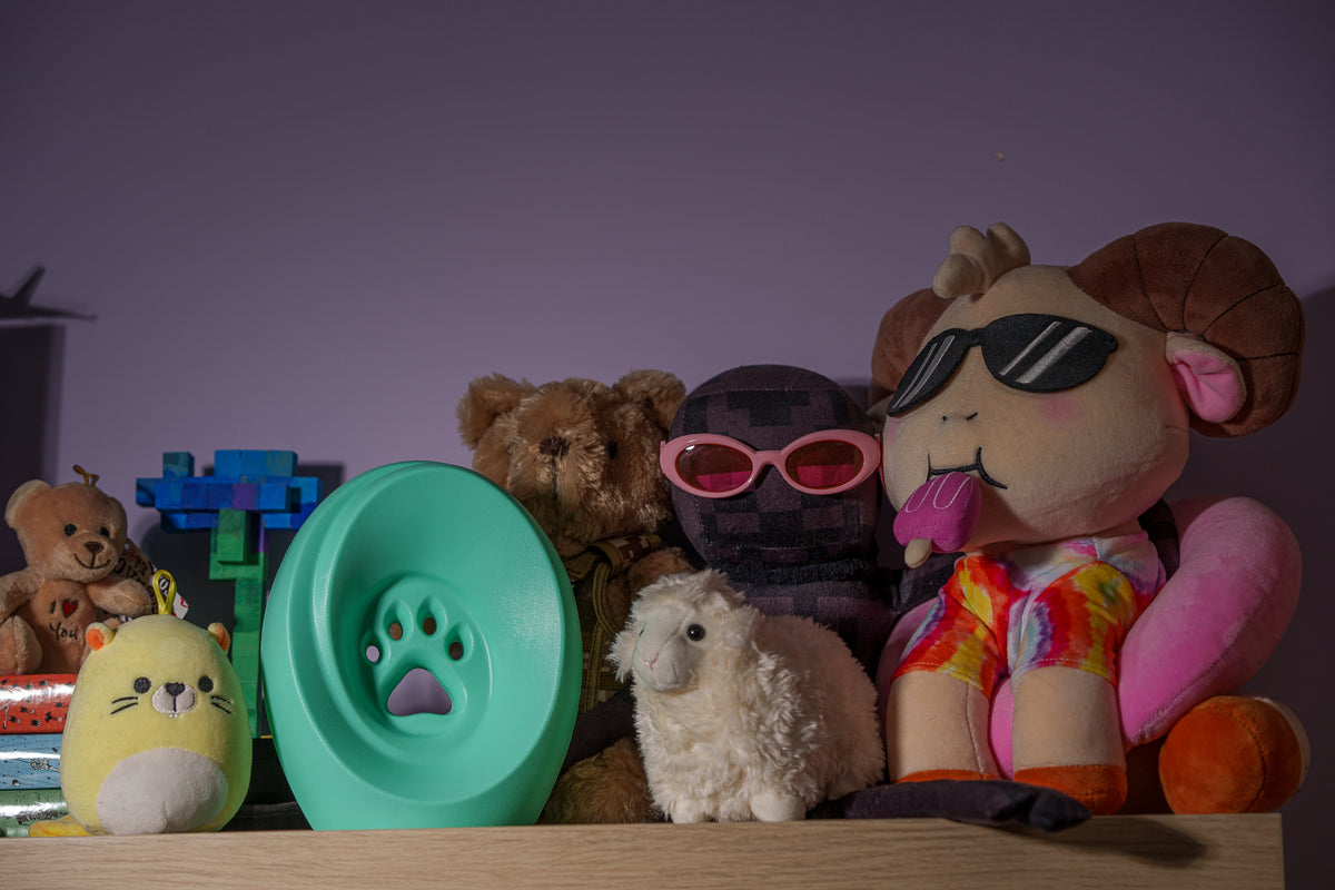 Einascherungsurnefur Asche Erinnerungsurnemit Pfotenabdruck Hundeurne Katzenurne Tiererinnerung Farbe Mint 