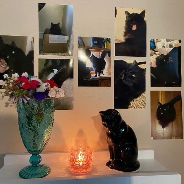 Für Immer Freunde – Tierurnen und Gedenkstätten. Hochwertige Urnen für Haustiere. Hundeurnen. Katzenurnen 