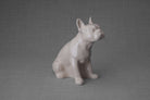 Französische Bulldogge Urne – Transparent | Keramikurne für Haustiere