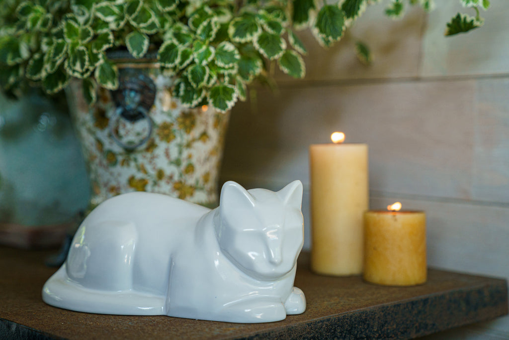 Katzenurne - Weiß | Keramik Tierurne