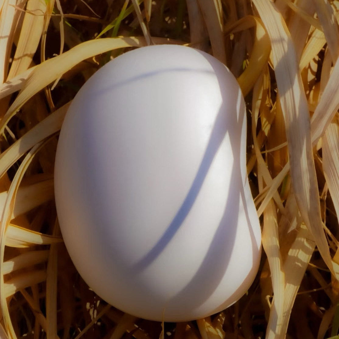 Biologisch abbaubare Tierurnen „Peanut“ | Personalisierbare Begräbnis-Gedenkurne für Haustiere